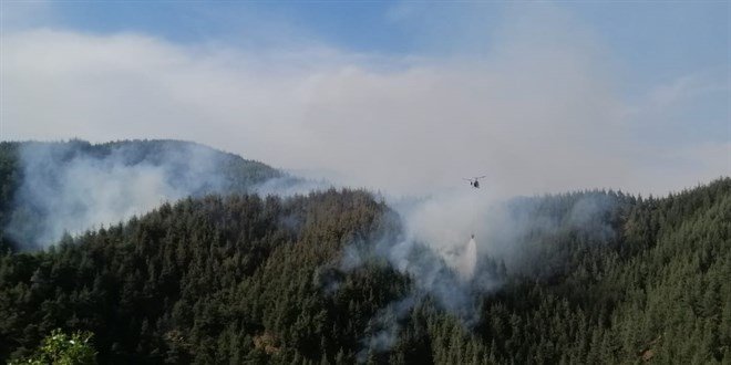 Kahramanmaraş’ta çıkan orman yangını kontrol altına alındı
